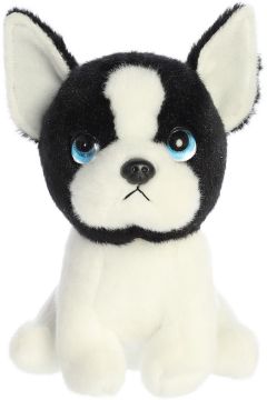 Picture of Harvard Boston Terrier