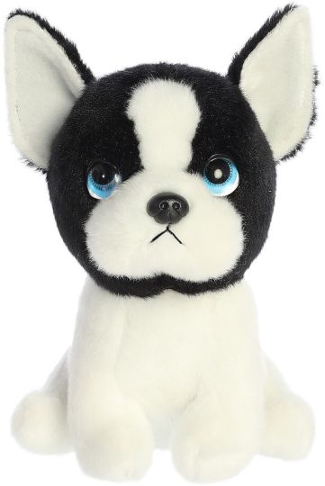 Picture of Harvard Boston Terrier